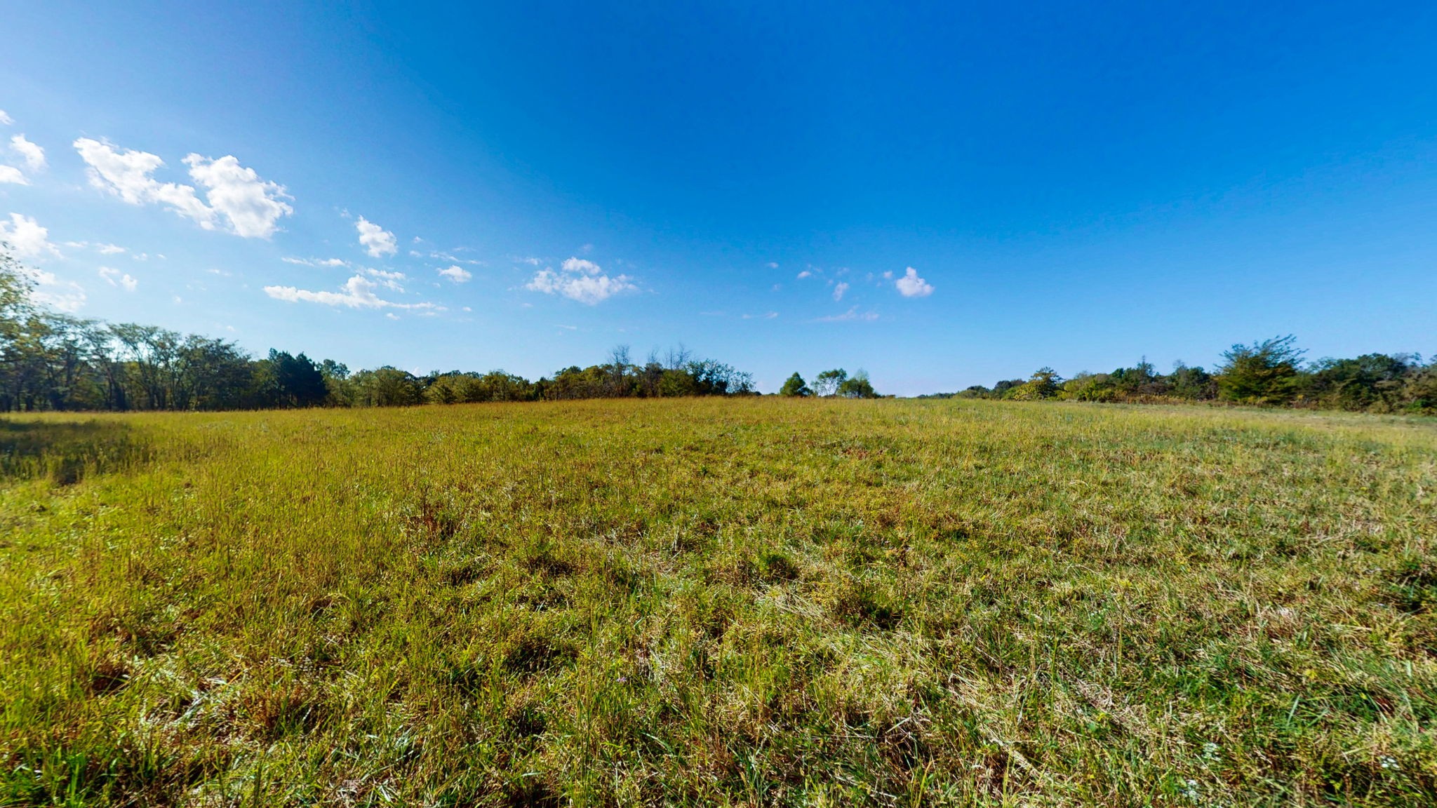 0 Old Murray Paris Road Puryear, TN 38251 - Photo 3 of 18