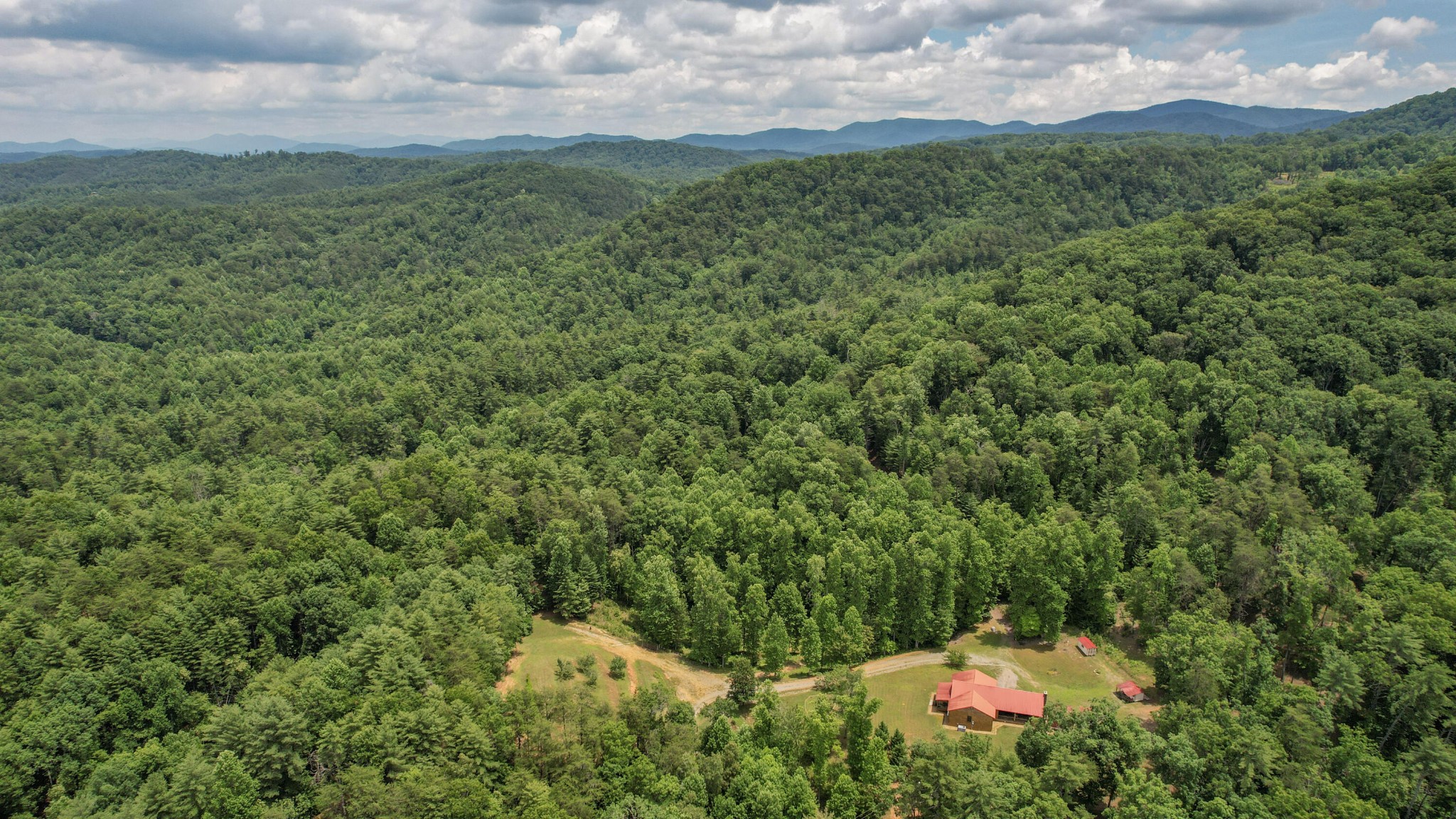 201 Campbell Branch Road Reliance, TN 37369 - Photo 74 of 99