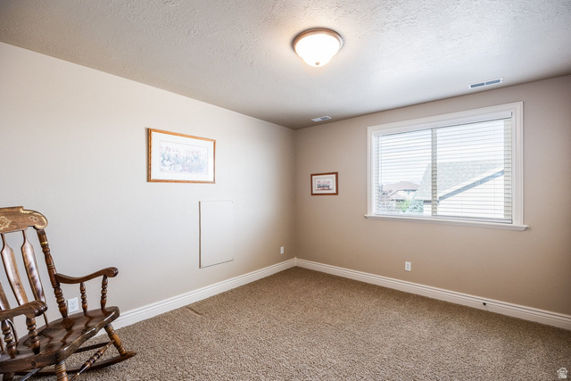 258 Red Leaf Drive Draper, UT 84020 - Photo 27 of 53