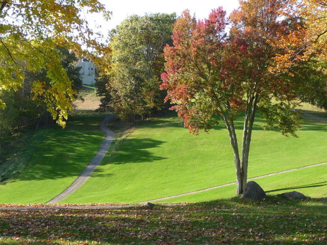 golf