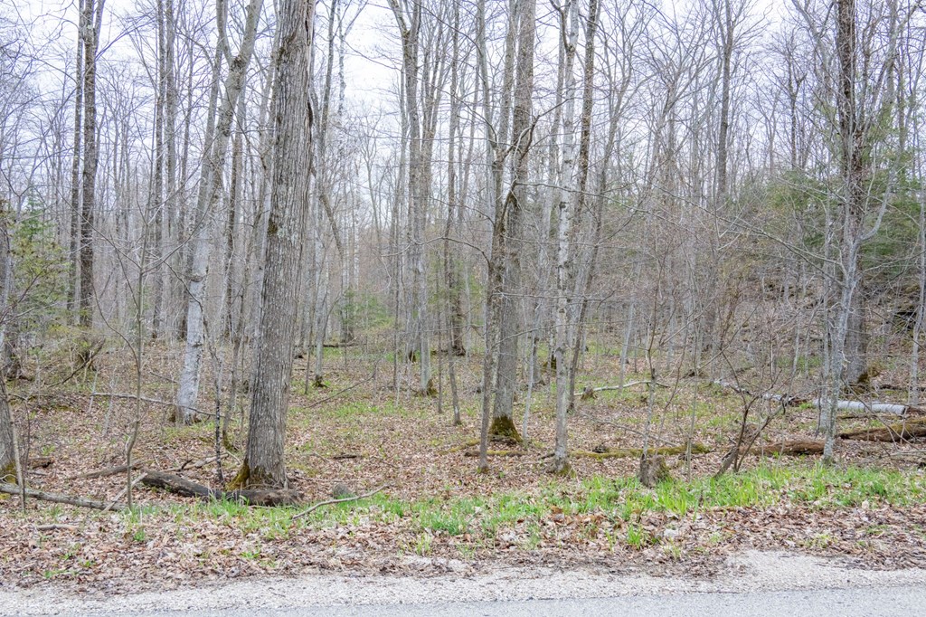 Lot 2 Cottage Road Ellison Bay, WI 54210 - Photo 16 of 30