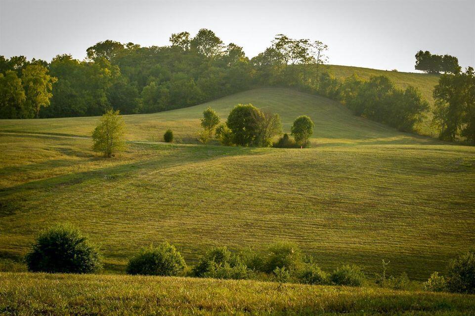 0 Deer Chase Road Danville, KY 40422 - Photo 15 of 21 pic 17