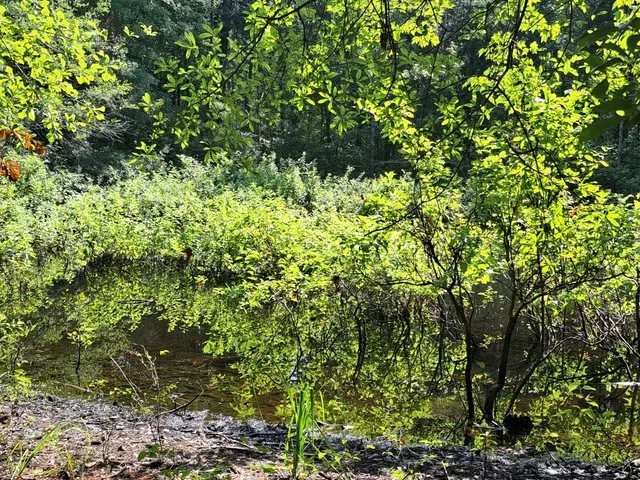 $60,000 | 1 Forever Eclipse Lane, Cross, SC 29436