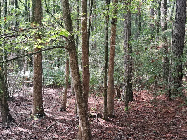 $60,000 | 1 Forever Eclipse Lane, Cross, SC 29436