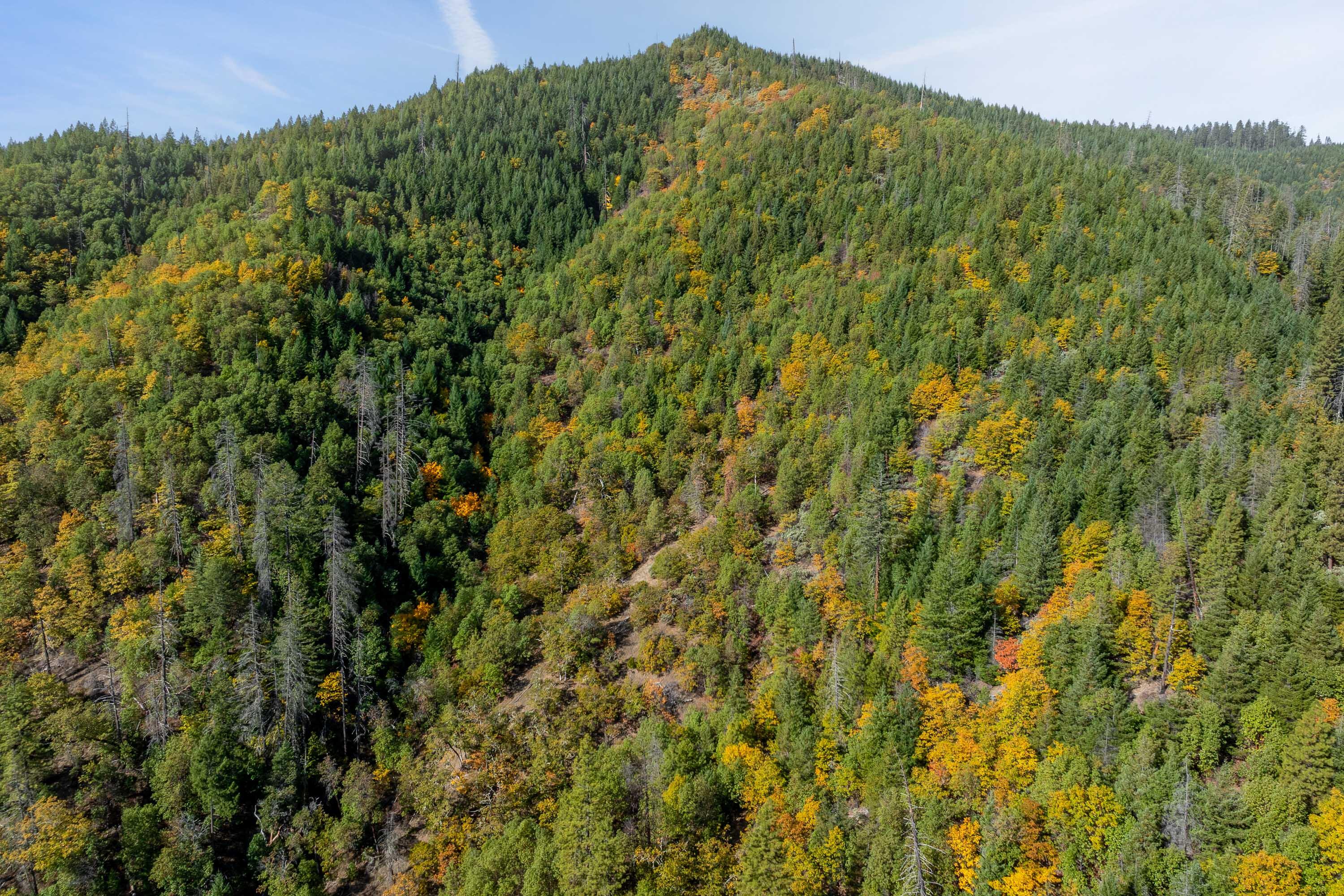 0 Sardine Creek Road Gold Hill, OR 97525 - Photo 6 of 20 DRONE (5 of 10)