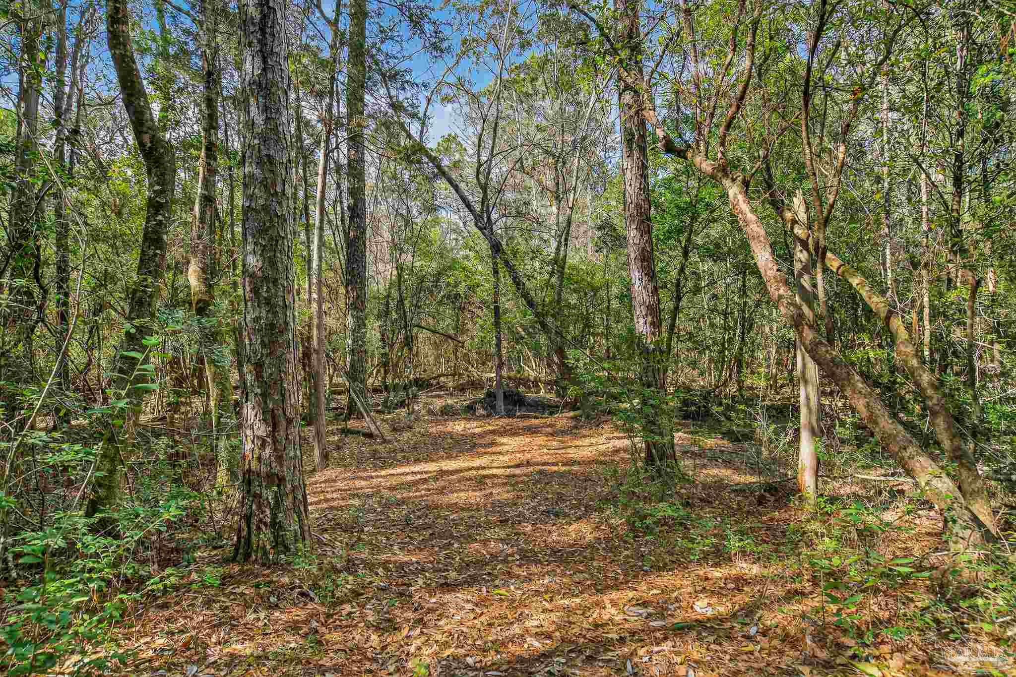 2248 Wallace Lake Road Pace, FL 32571 - Photo 48 of 61