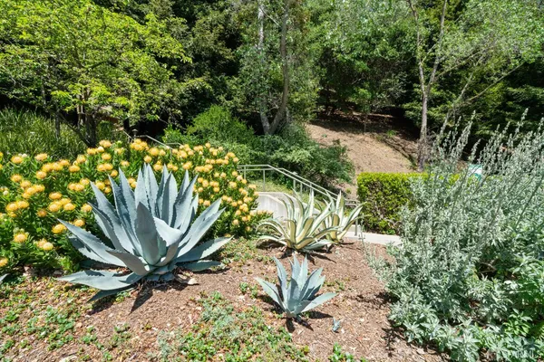 $3,800 | 220 Caldecott Lane, Unit 311, Oakland, CA 94618