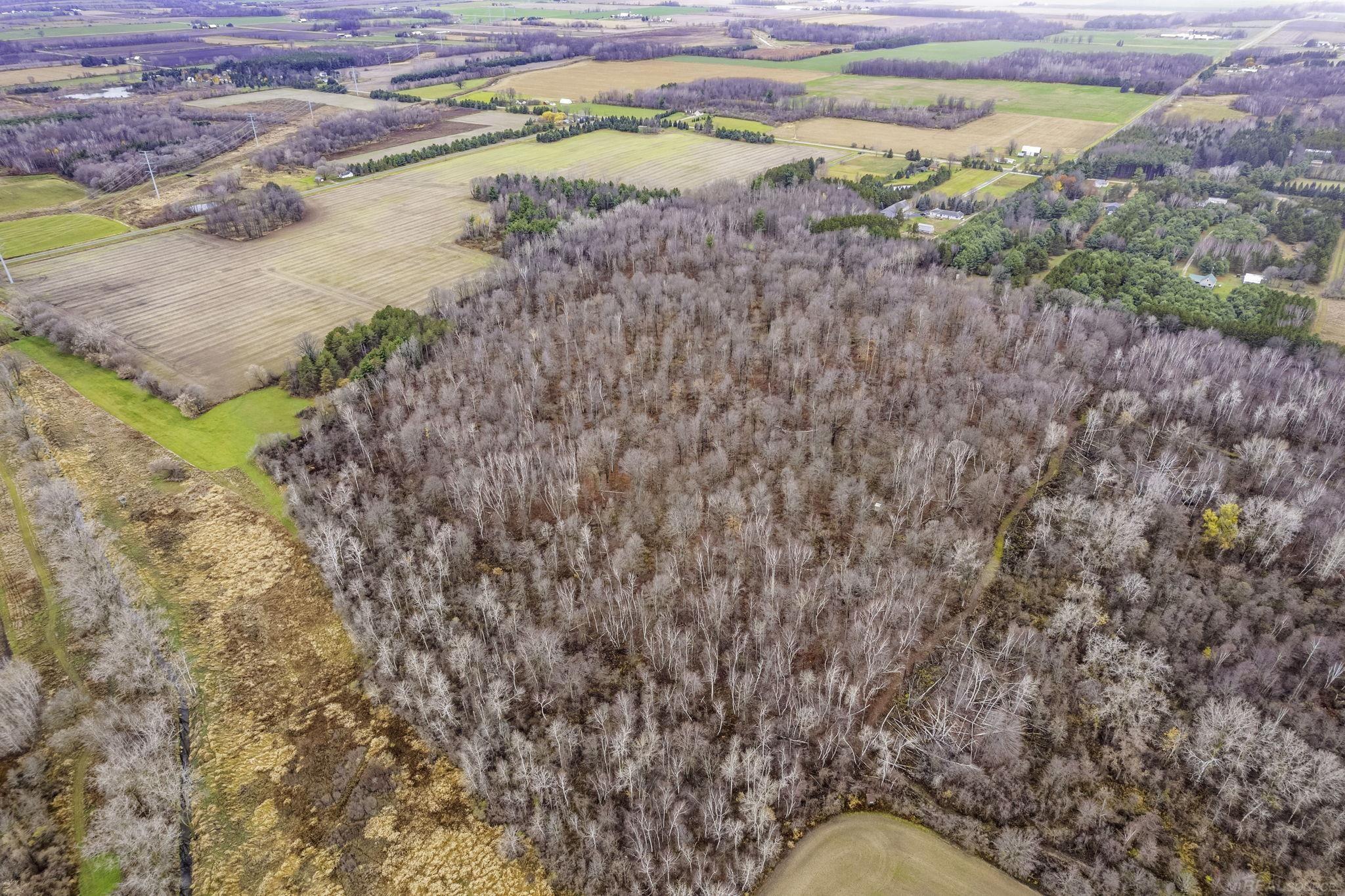 0 Brown Road Croswell, MI 48422 - Photo 4 of 8