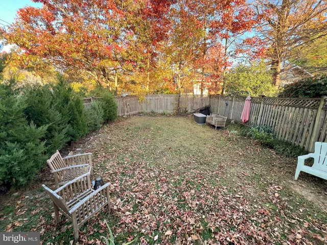 a view of backyard with trees