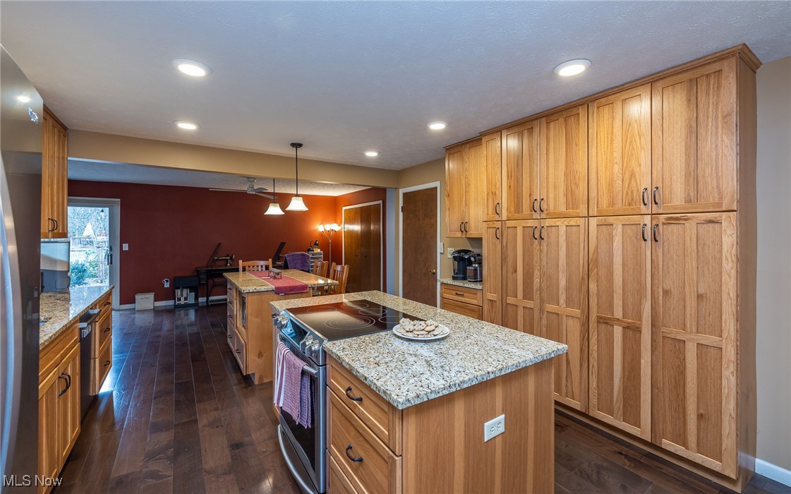 7711 Diagonal Road Kent, OH 44240 - Photo 11 of 45 Kitchen featuring stainless steel appliances, light stone counters, decorative light fixtures, dark wood finished floors, and recessed lighting