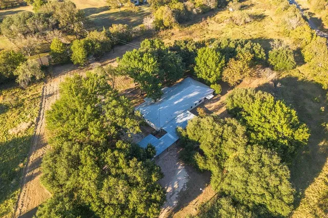 a picture of flowers