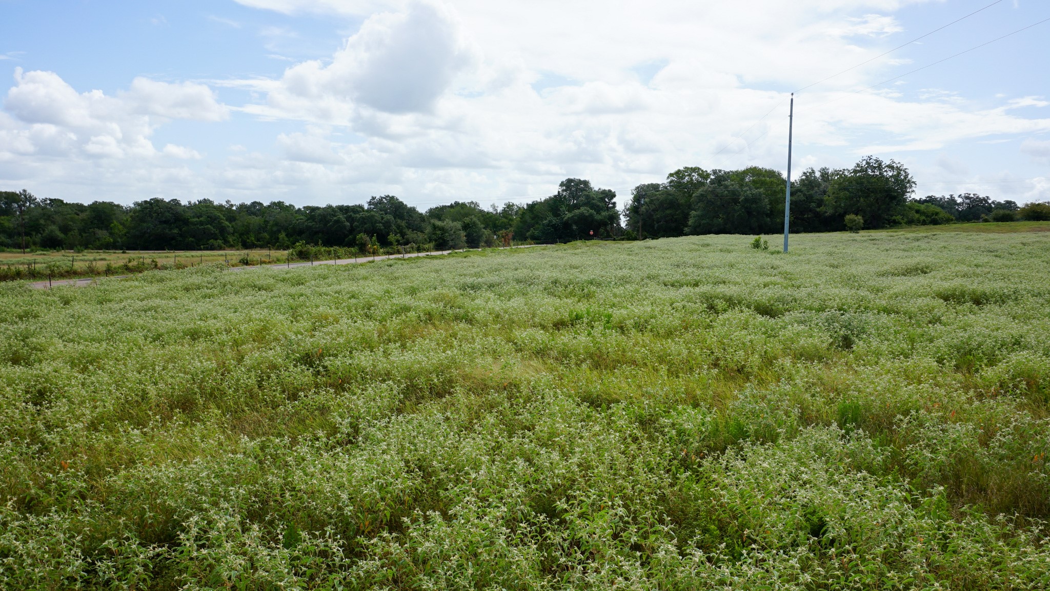0 Hranicky Road Schulenburg, TX 78956 - Photo 8 of 10 Gallery Image 8