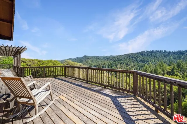 a picture of flowers