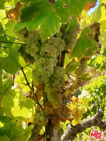 a dining room with furniture and a floor to ceiling window