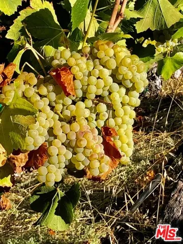 a bathroom with a tub and sink