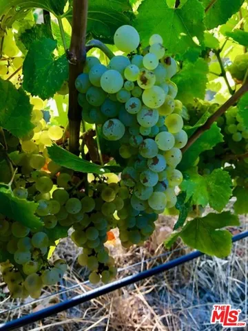 a view of a room with lots of wooden furniture