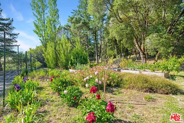 a view of a backyard of the house