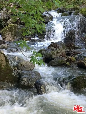 a view of a dry yard with green space