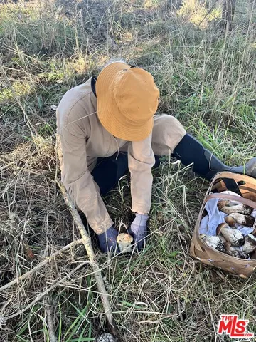 $2,999,000 | 20799 Highway 128 Yorkville Ca, Yorkville, CA 95494