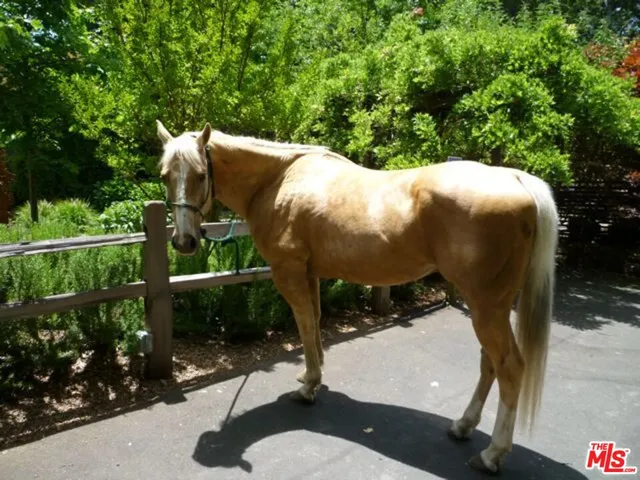 a view of a back yard of the house