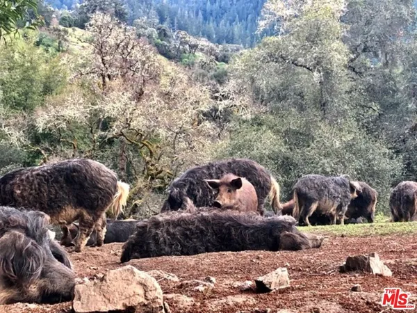 $2,999,000 | 20799 Highway 128 Yorkville Ca, Yorkville, CA 95494