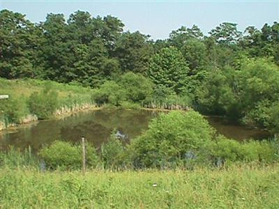11803 Lees Road Alexandria, KY 41001 - Photo 7 of 8 Gallery Image 7