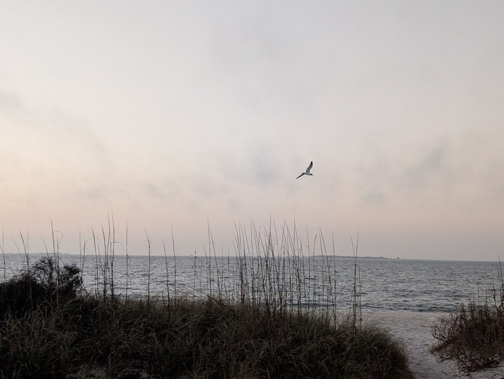 200 Ante Beppum Loop Carrabelle, FL 32322 - Photo 7 of 7