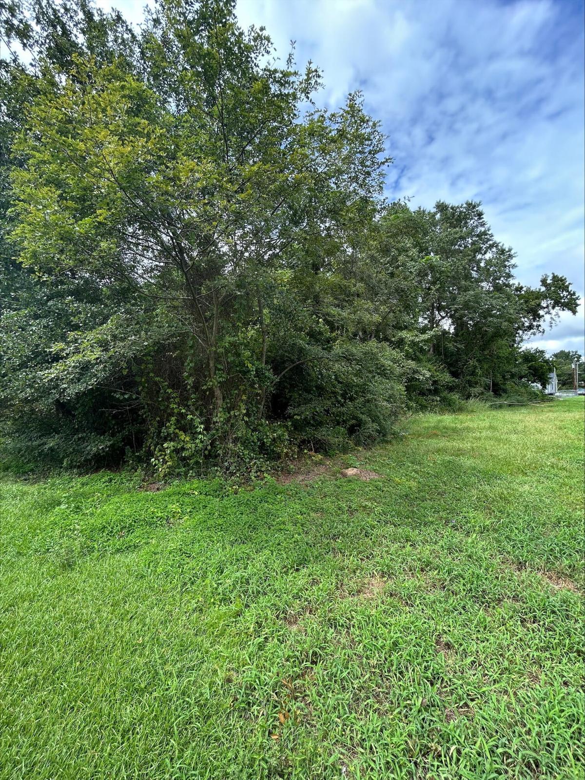 0 Hall Street Summerton, SC 29148 - Photo 4 of 6 20260226143918087380000000-o