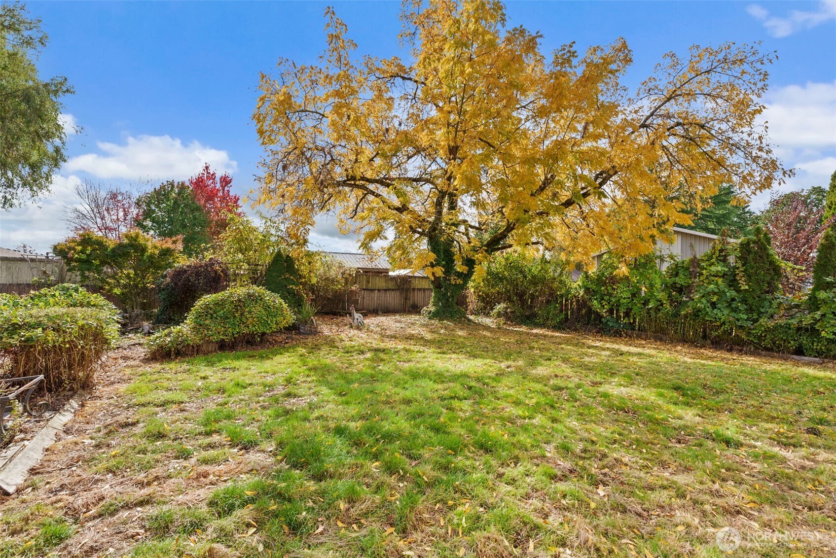 535 Southwest 19th Street Chehalis, WA 98532 - Photo 31 of 35 a backyard of a house with lots of green space