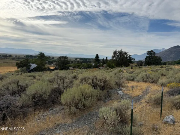 a view of a field with trees in background