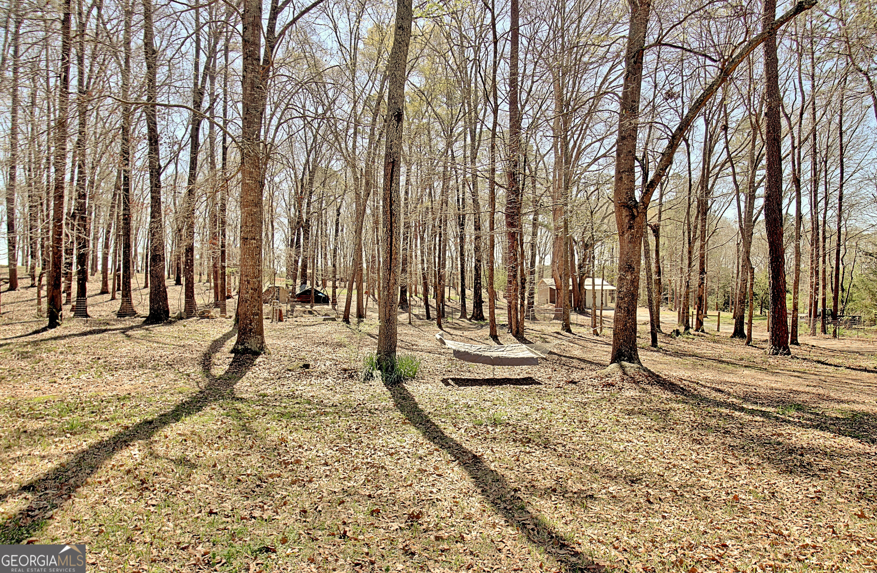 373 Blanton Mill Road Williamson, GA 30292 - Photo 47 of 57 a view of a backyard with large trees