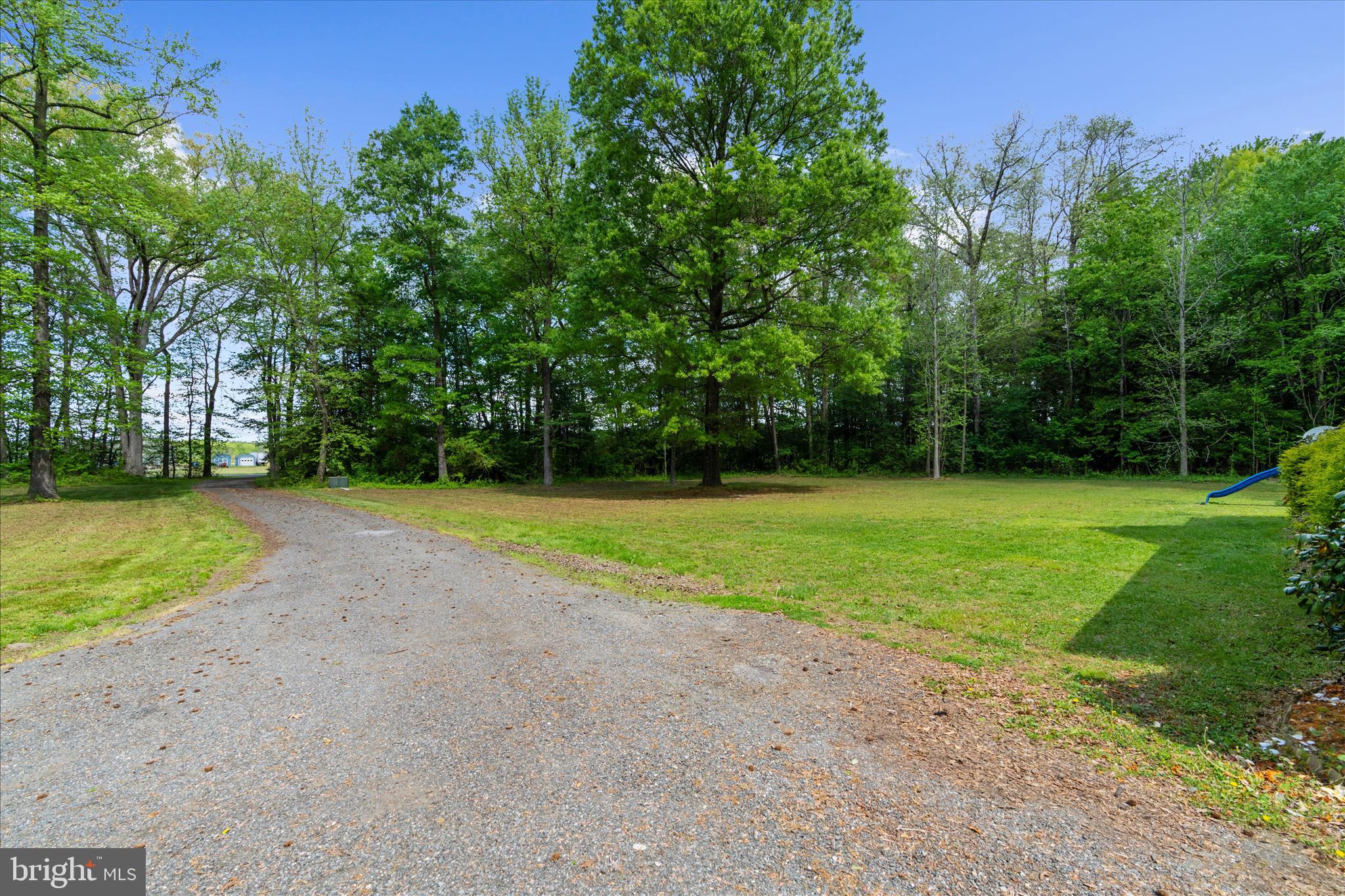 6941 Hubbard Road Hurlock, MD 21643 - Photo 38 of 71 a view of a park with large trees