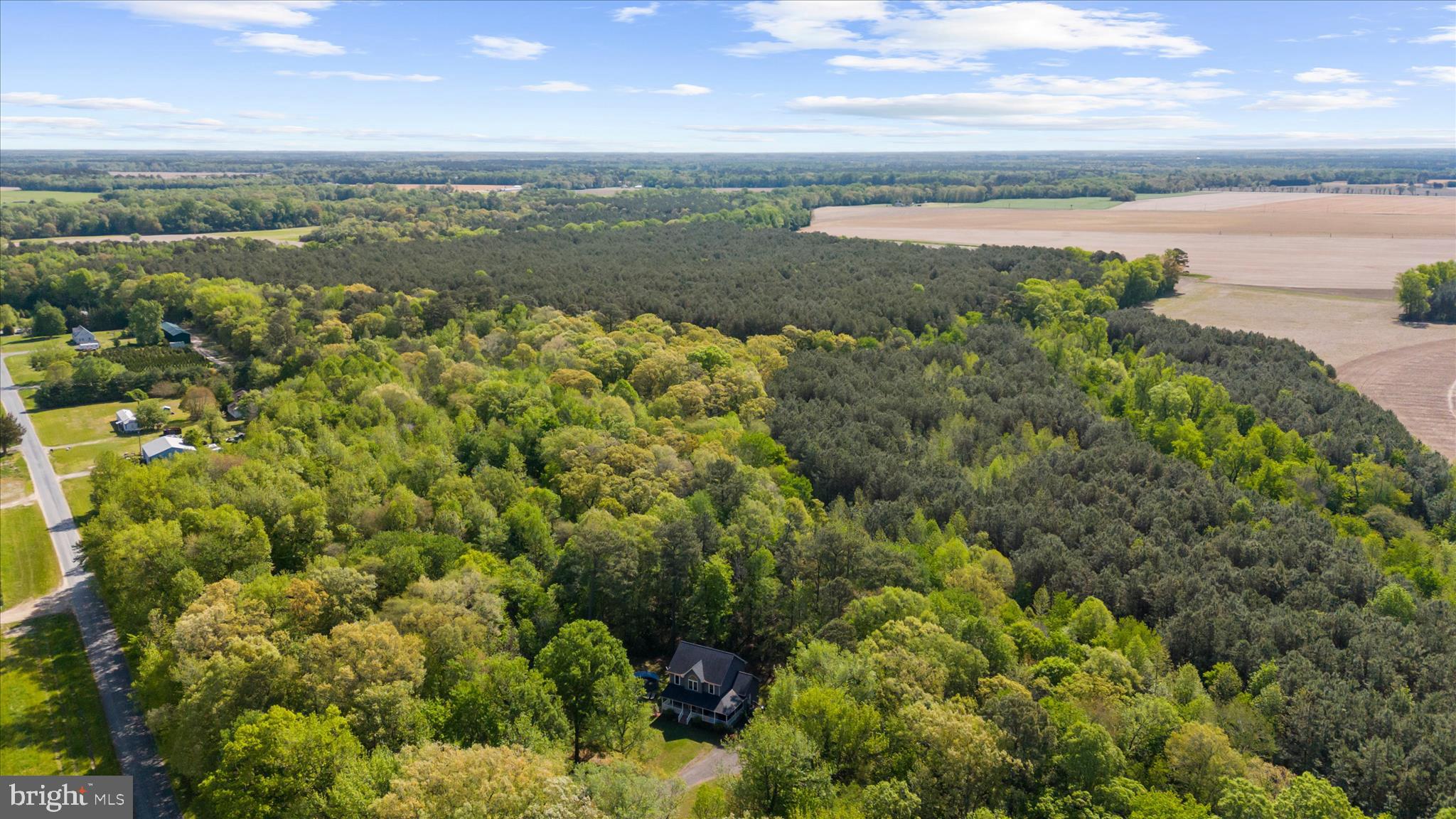 6941 Hubbard Road Hurlock, MD 21643 - Photo 53 of 71 a view of a lake with a city