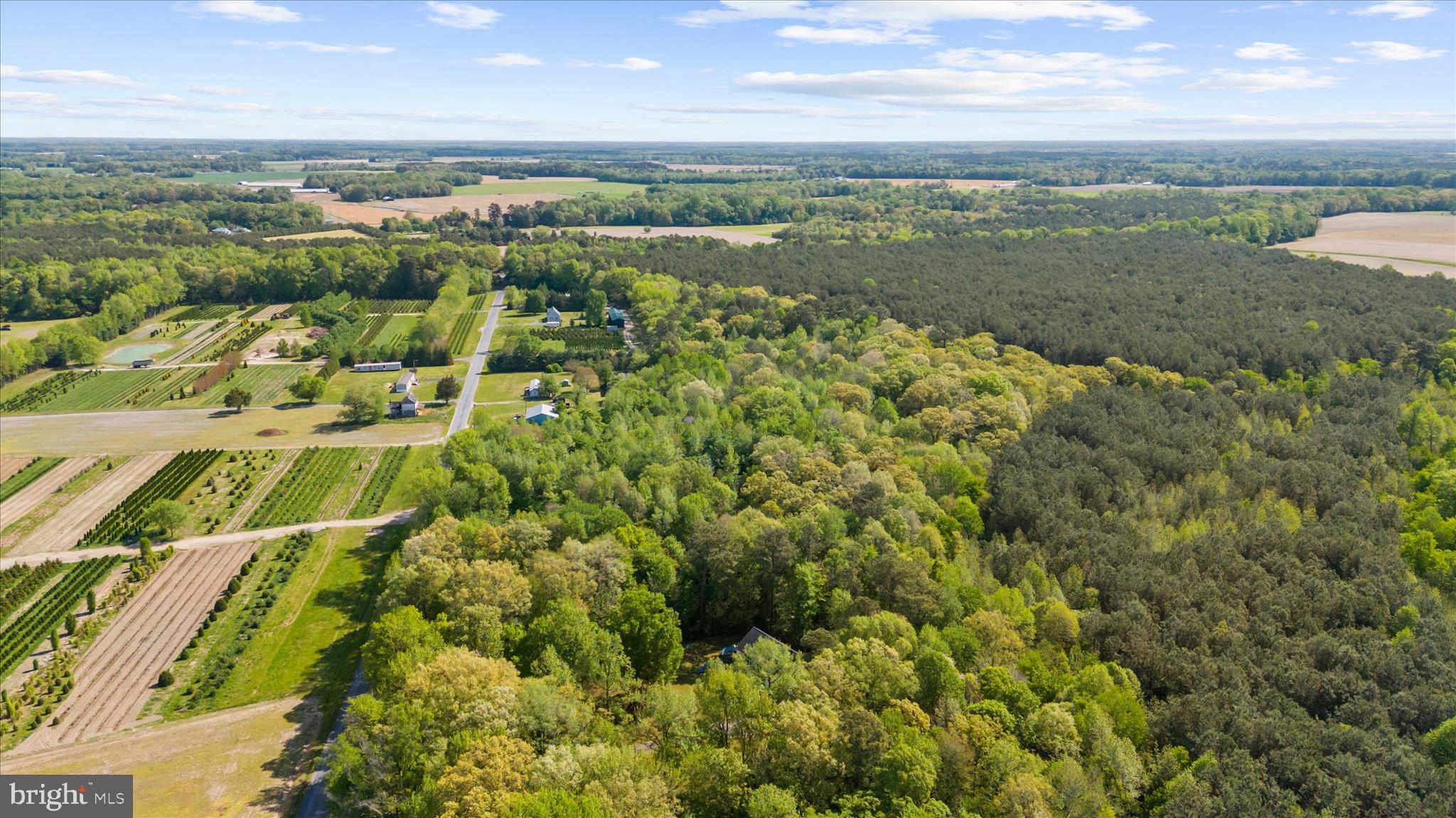 6941 Hubbard Road Hurlock, MD 21643 - Photo 54 of 71 an aerial view of residential houses with outdoor space and ocean view
