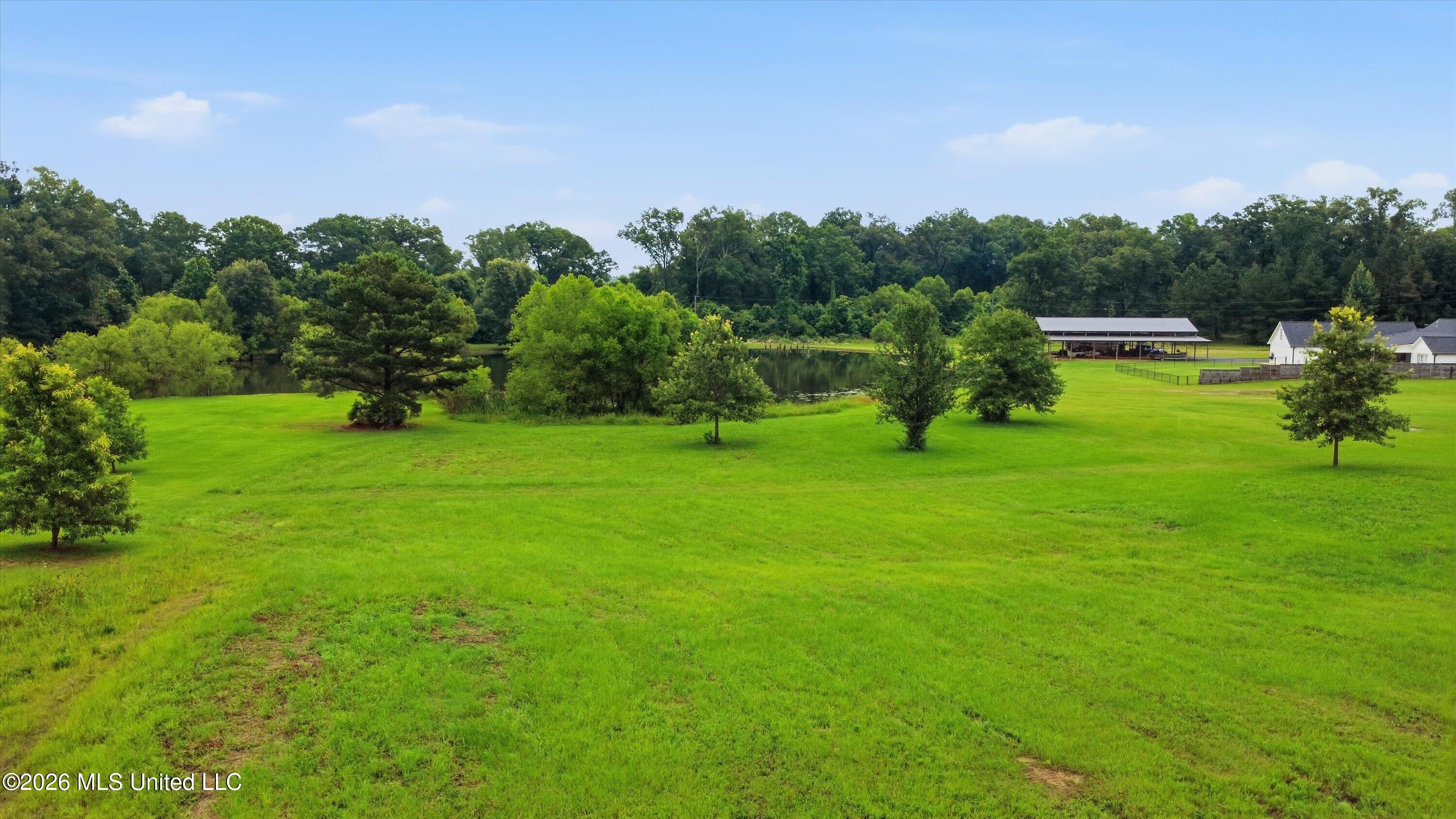 142 Iron Oak Ridge Brandon, MS 39042 - Photo 12 of 26 16-142_Iron_Oak_Ridgee_017