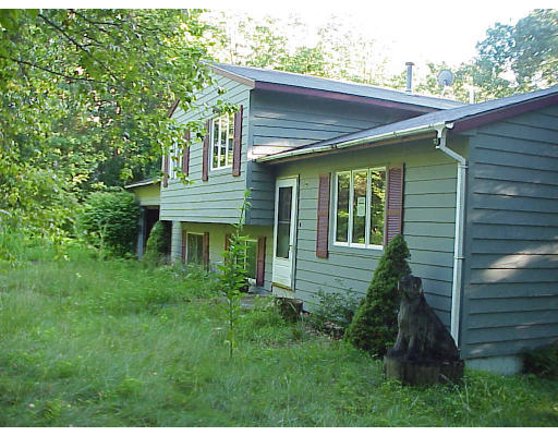 419 Town Farm Road Warren, MA 01092 - Photo 2 of 3 a view of a backyard with plants and large tree
