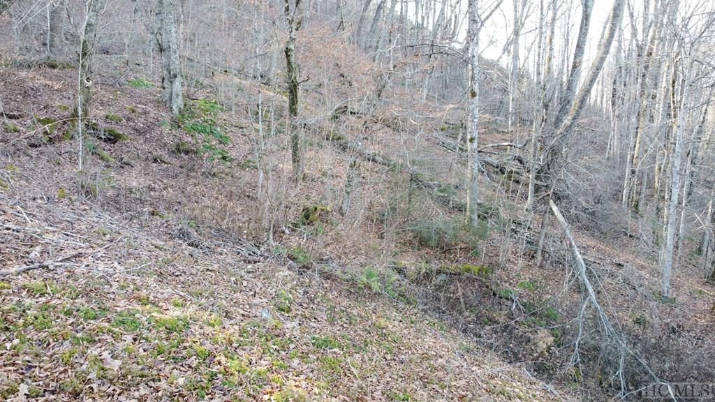 Lot 1 Walnut Gap Road Cullowhee, NC 28723 - Photo 5 of 9 Gallery Image 5