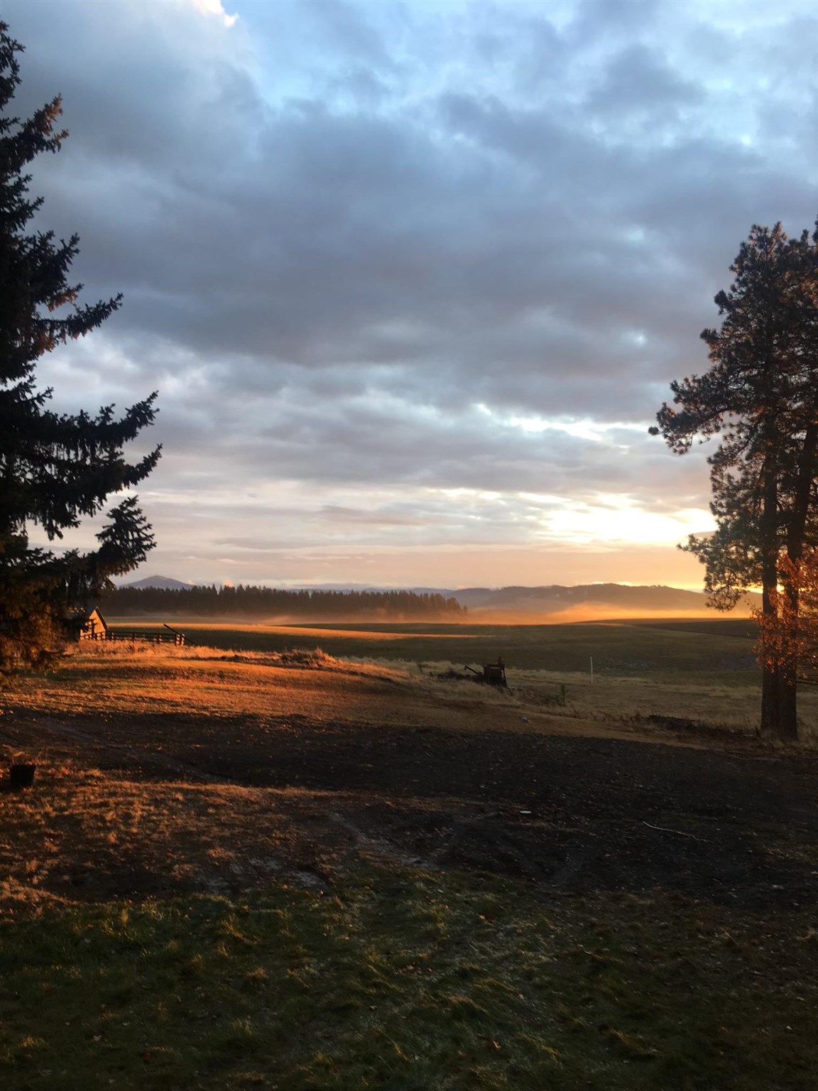 42929 South Cove Road Tekoa, WA 99033 - Photo 46 of 49
