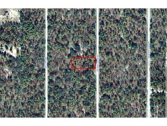 Lot 8 Northwest Lot Road Dunnellon, FL 34431 - Photo 1 of 1 Primary Photo