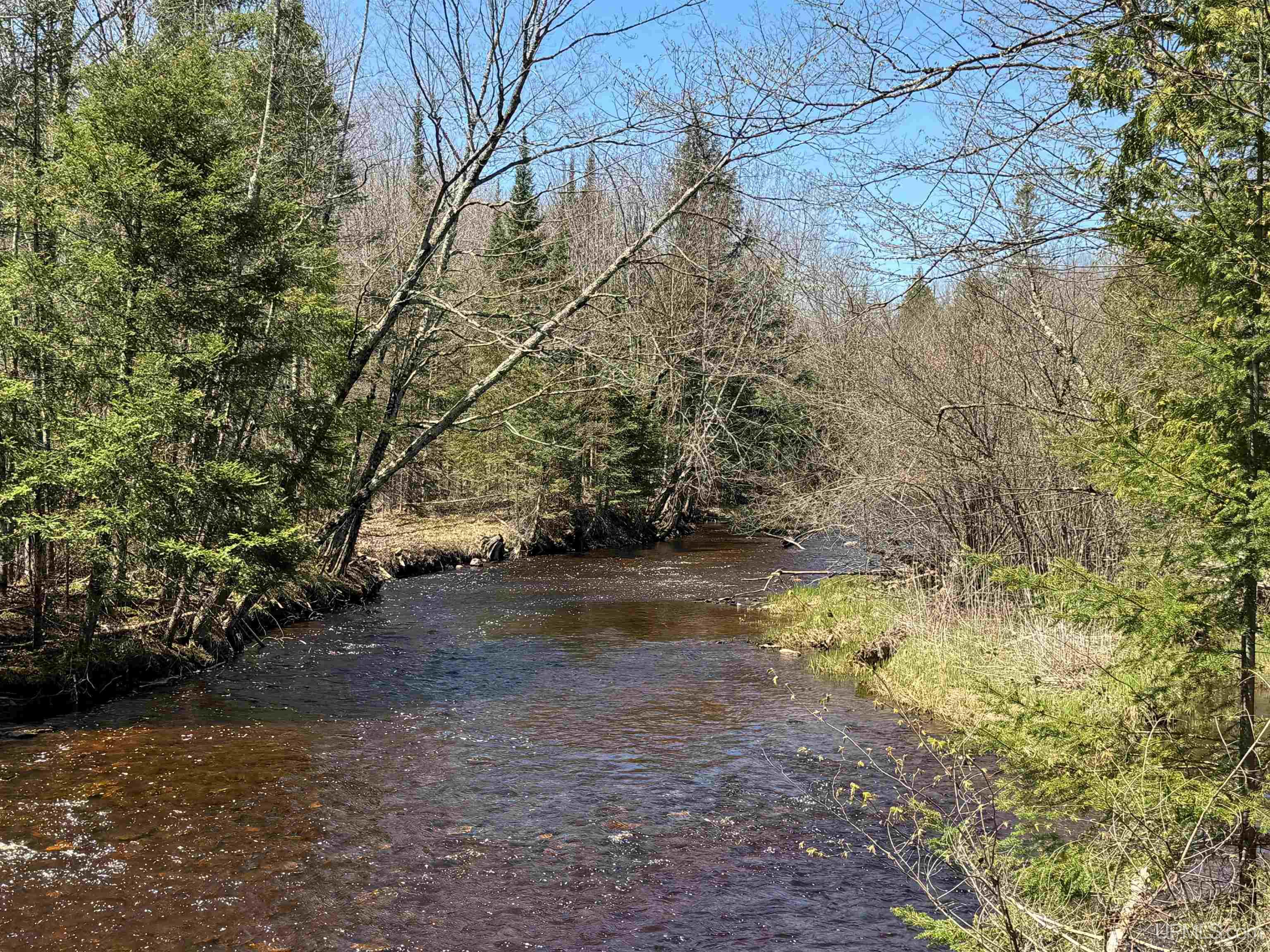 Tbd East Maple Ridge Road Rapid River, MI 49878 - Photo 6 of 23