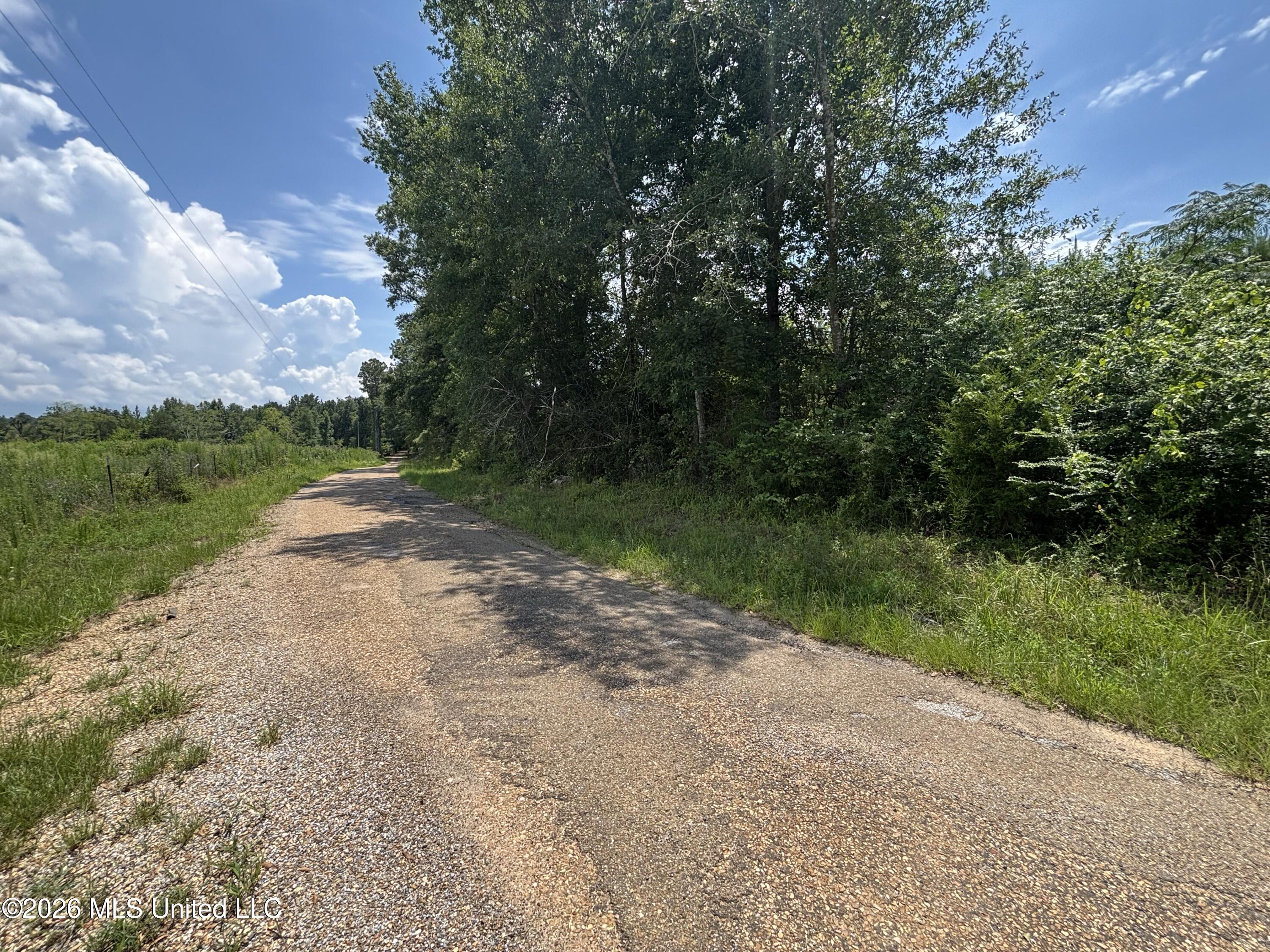 131 B County Road Morton, MS 39117 - Photo 23 of 25 IMG_4846