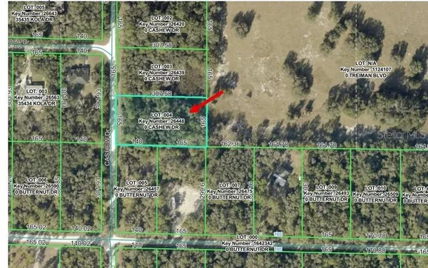 $38,500 | 0 Cashew Drive, Webster, FL 33597