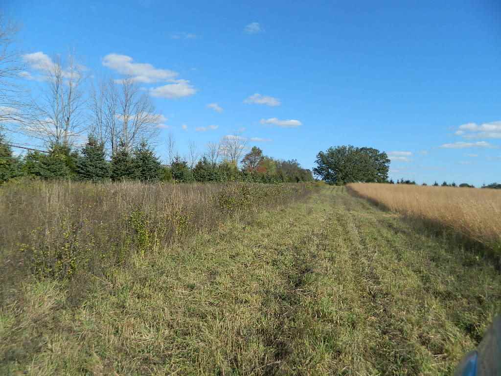 11650 West Remick Road Blanchard, MI 49310 - Photo 26 of 39 1839299-26.JPG