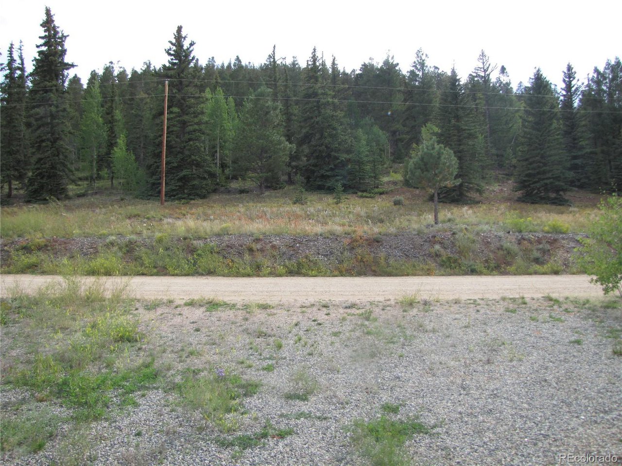 161 Tressel Trail Fairplay, CO 80440 - Photo 34 of 40