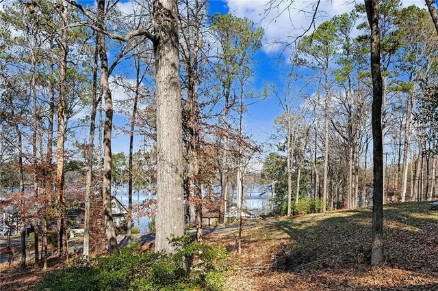 a backyard of a house with lots of green space