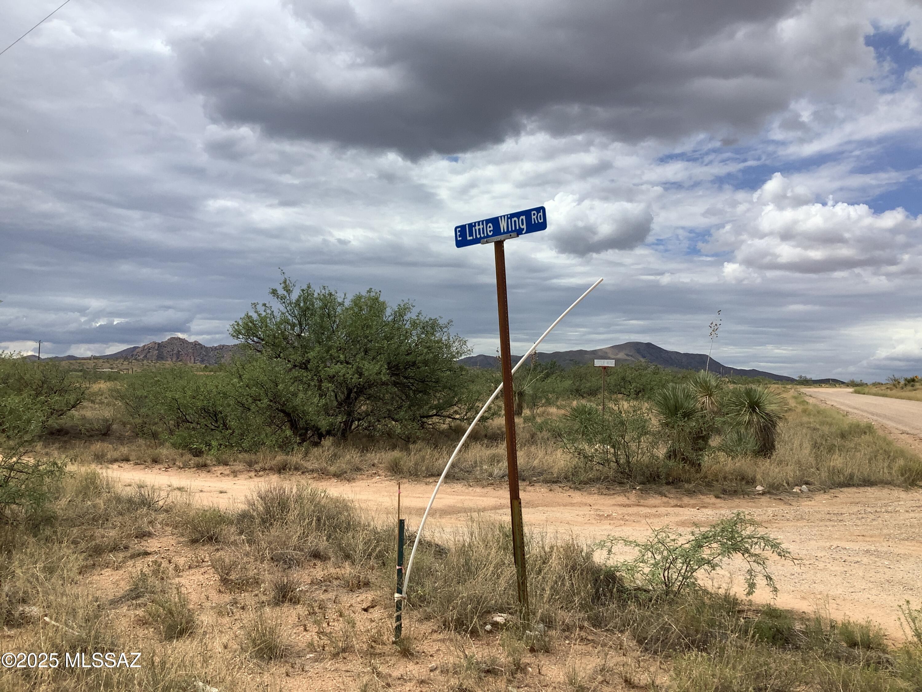 4.00-ac North Johnson Road Dragoon, AZ 85609 - Photo 16 of 31 IMG_1270