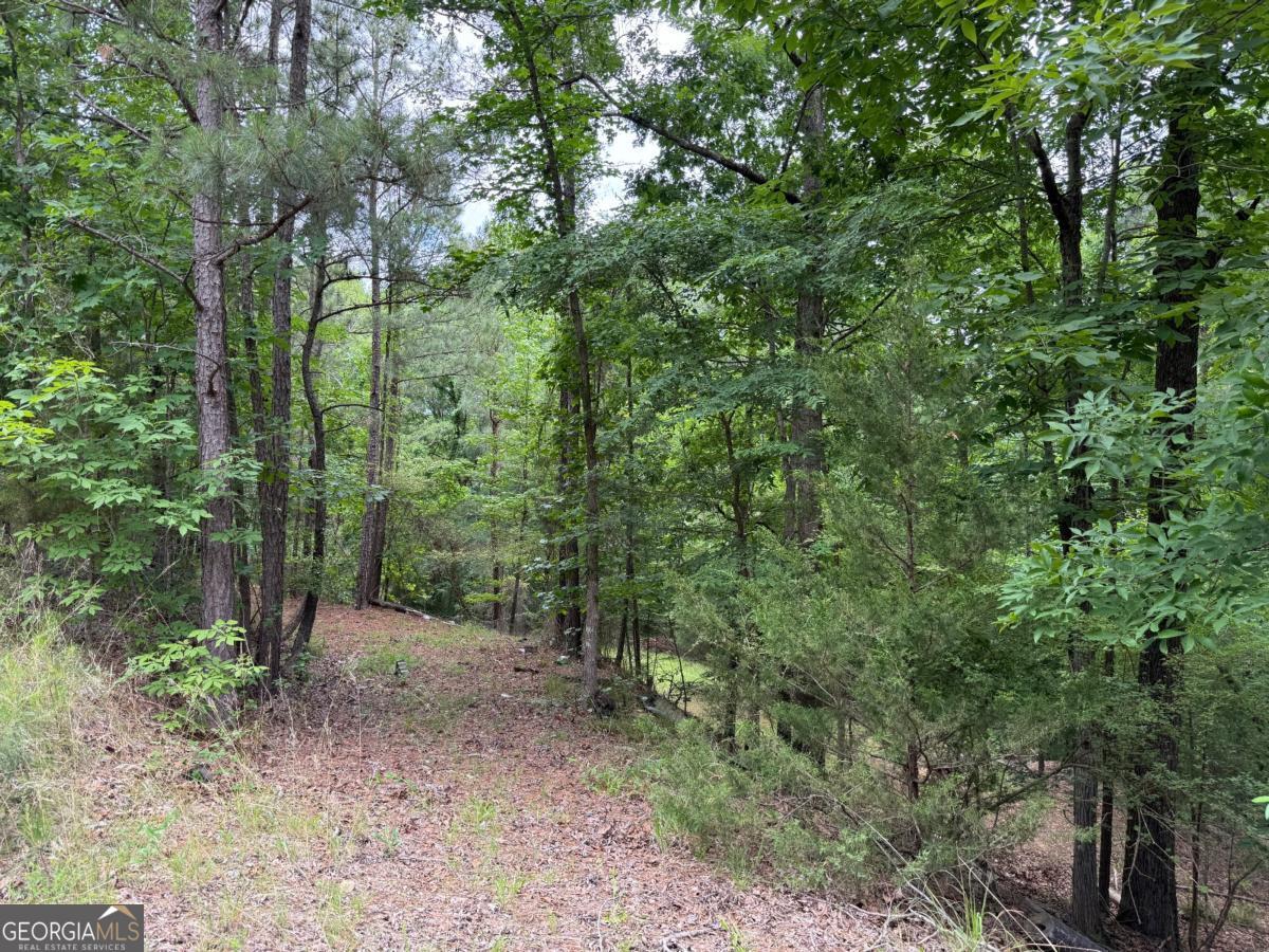 0 Bramlett Circle Elberton, GA 30635 - Photo 2 of 9