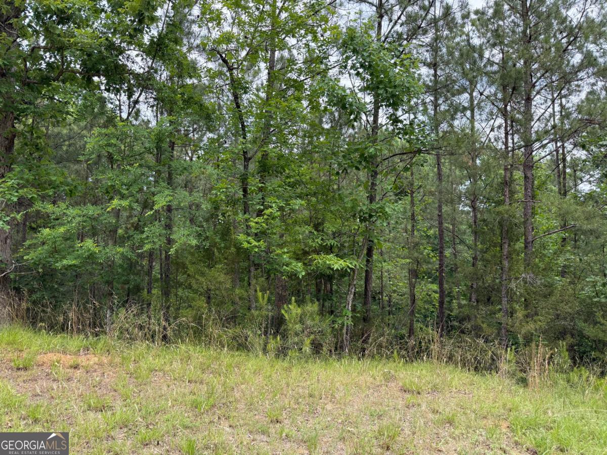 0 Bramlett Circle Elberton, GA 30635 - Photo 3 of 9