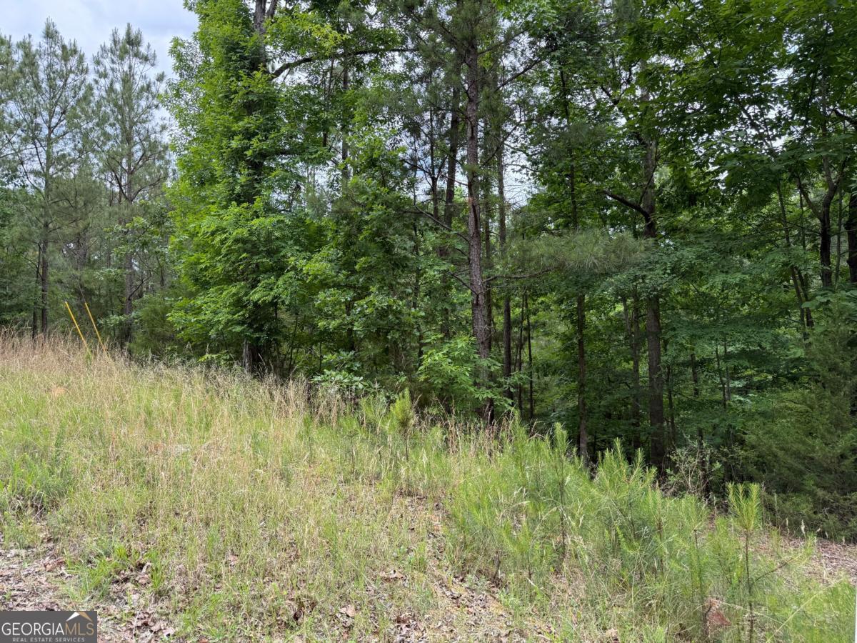 0 Bramlett Circle Elberton, GA 30635 - Photo 6 of 9
