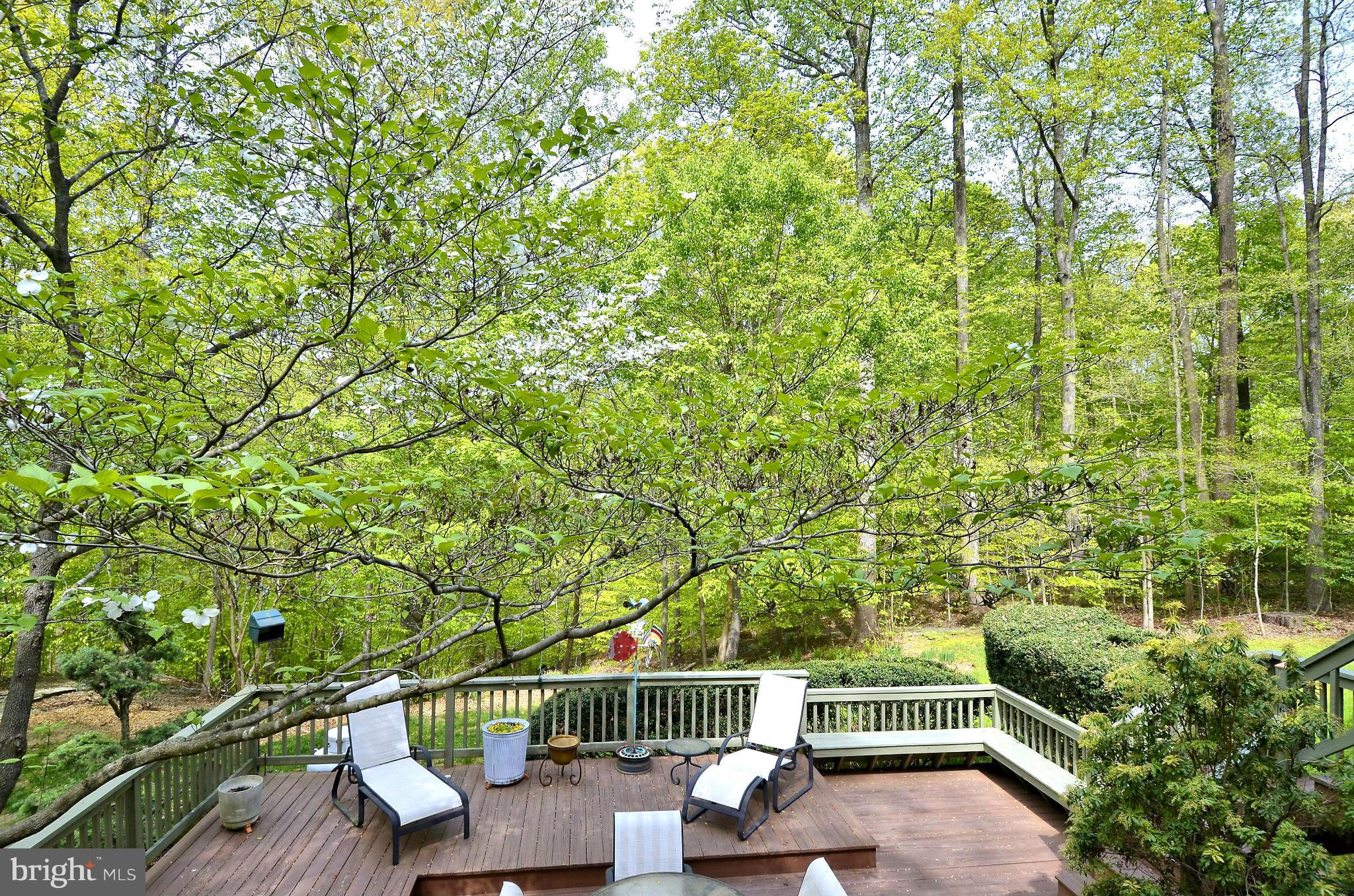 1712 Woodlore Road Annapolis, MD 21401 - Photo 29 of 30 Main level Deck